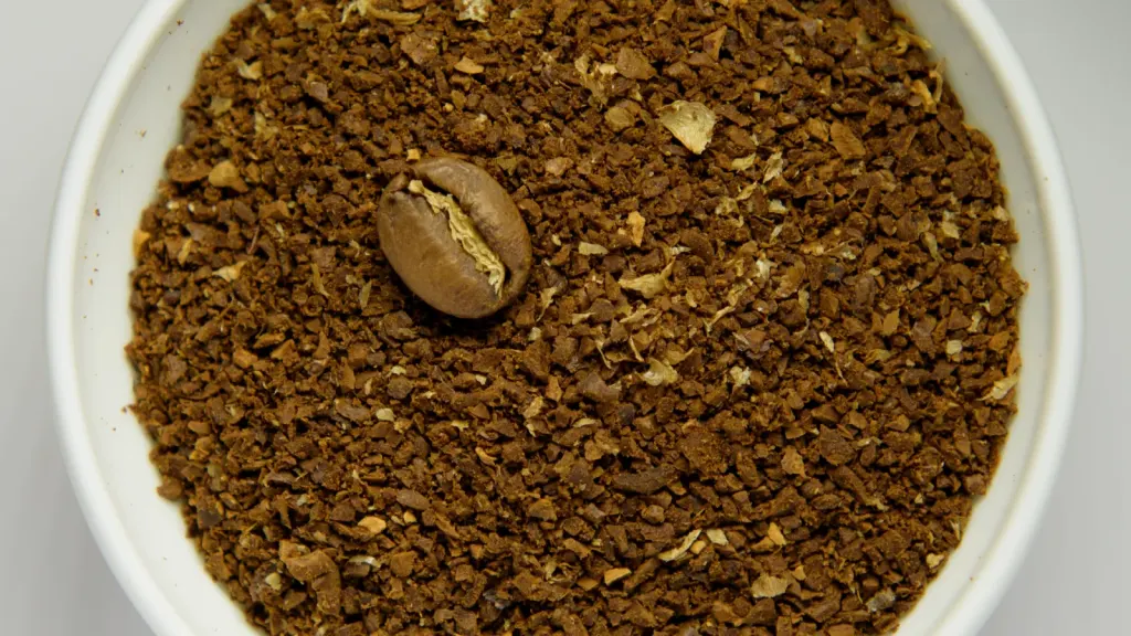 Petani kopi memegang biji kopi hasil panen