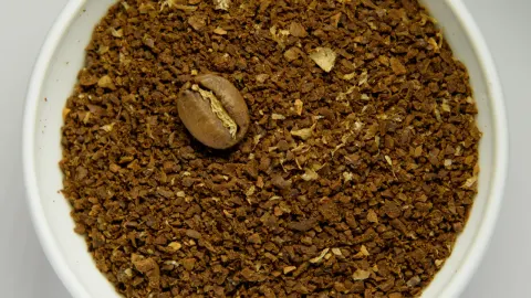 Petani kopi memegang biji kopi hasil panen